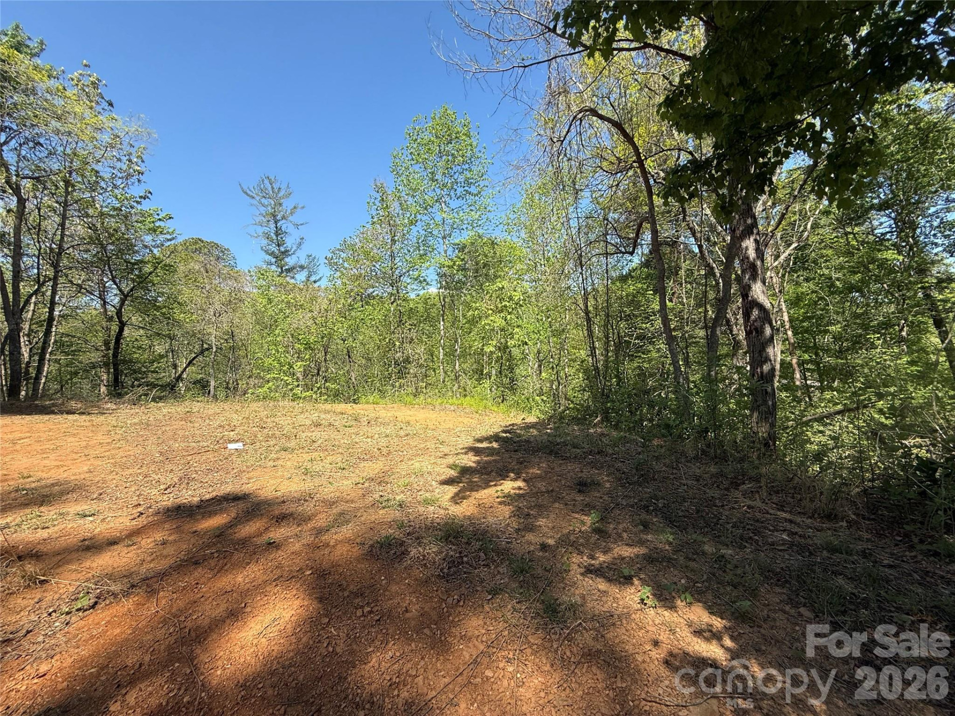 266 Mountain Creek Way - Photo 3