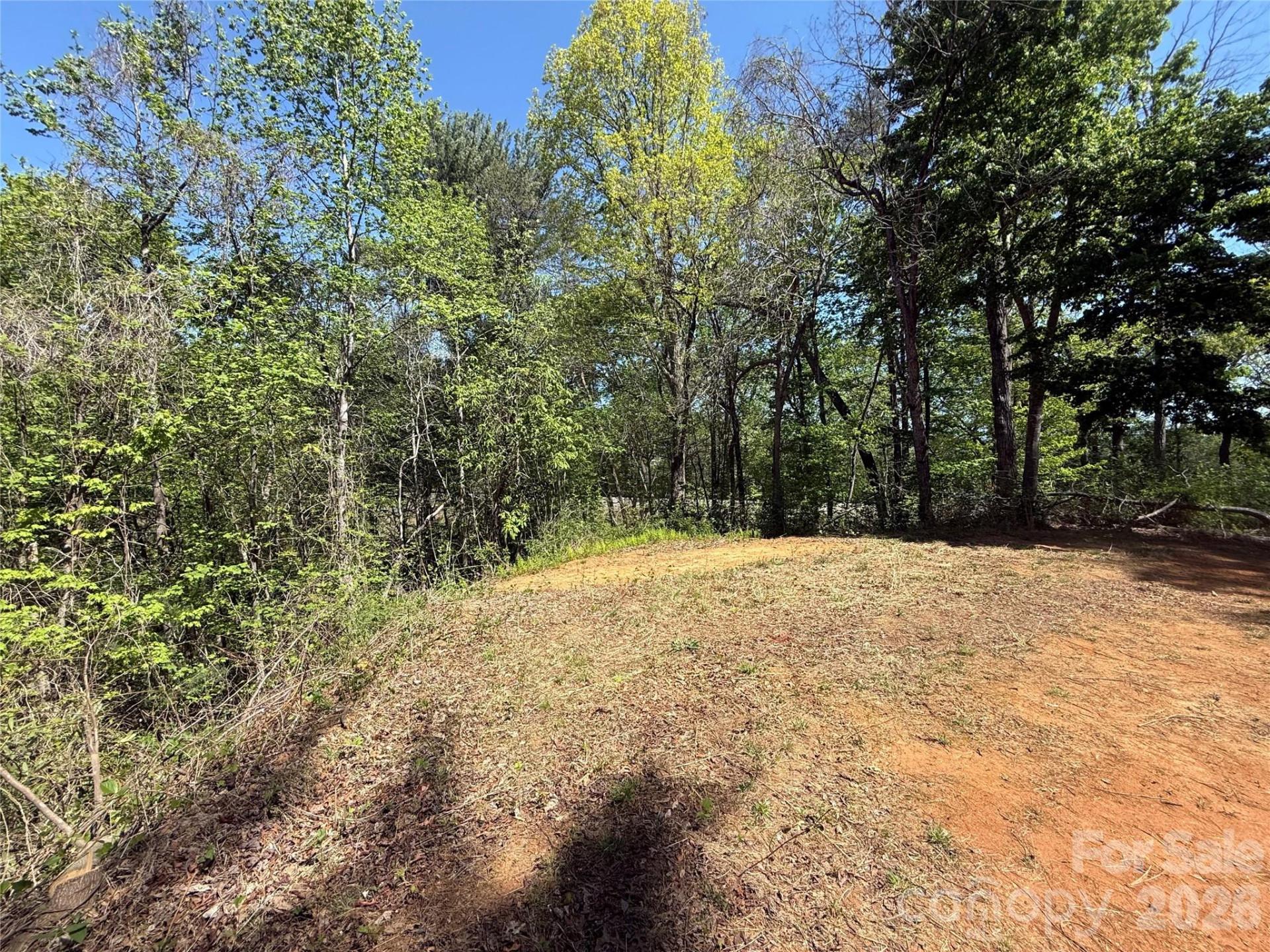 266 Mountain Creek Way - Photo 4