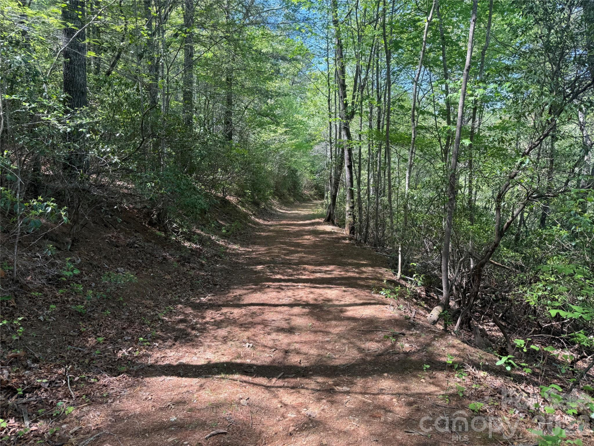 266 Mountain Creek Way - Photo 5