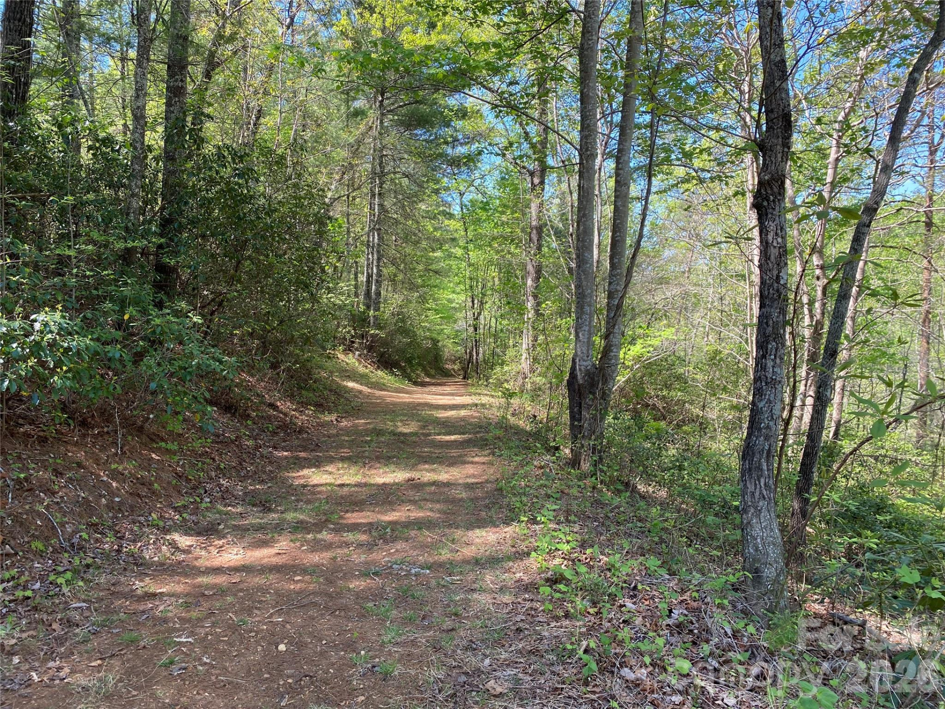 266 Mountain Creek Way - Photo 6