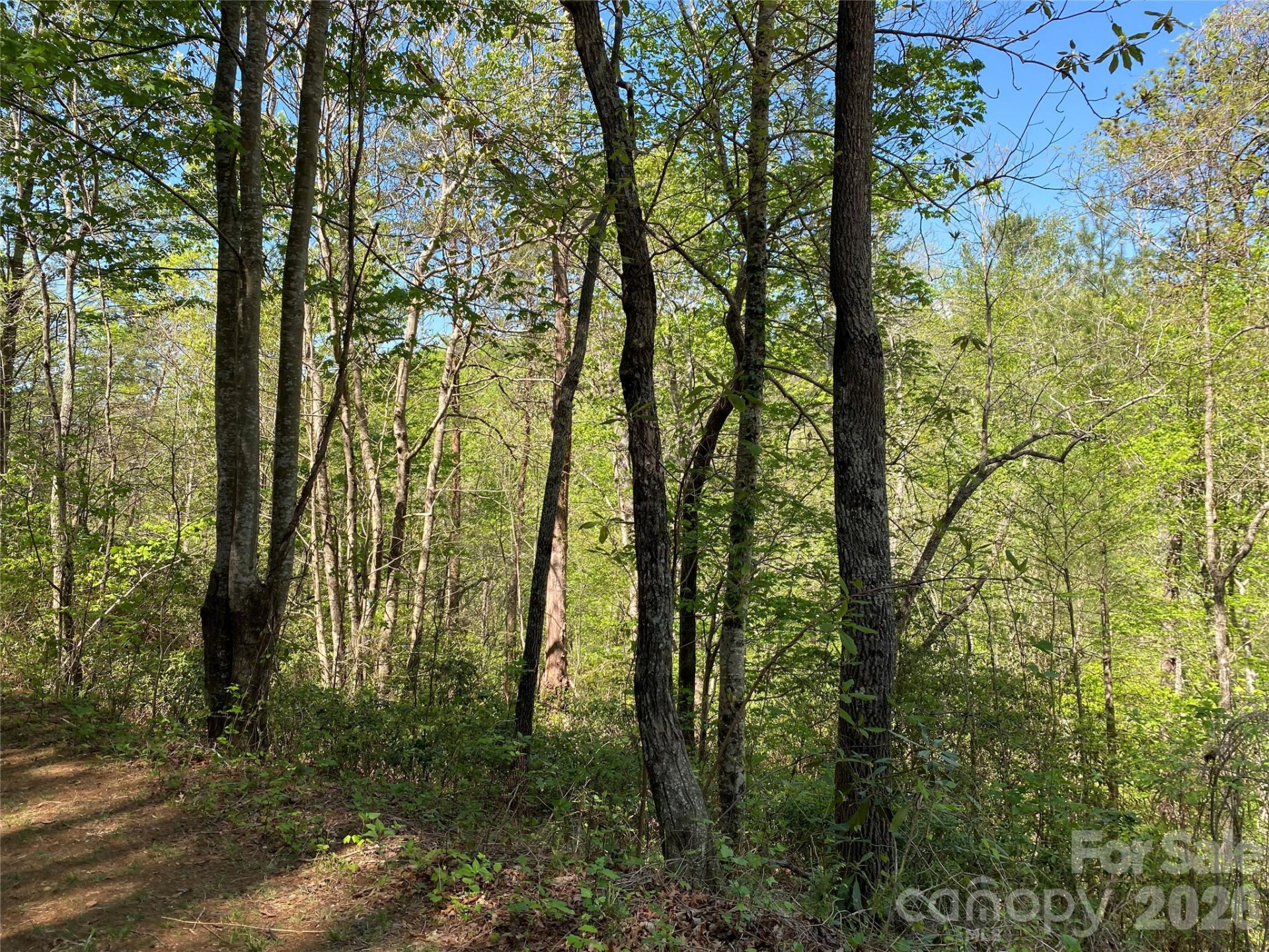 266 Mountain Creek Way - Photo 7