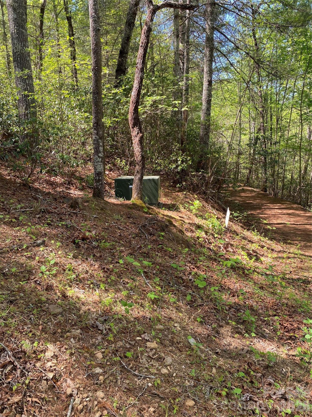 266 Mountain Creek Way - Photo 8