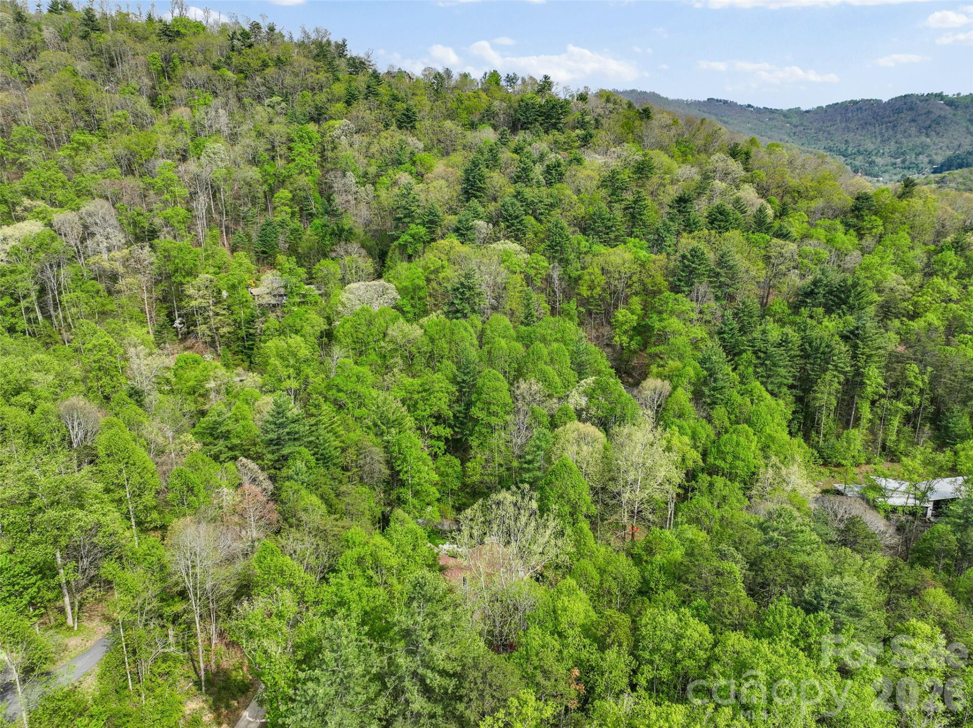 120 Carter Cove Road - Photo 46