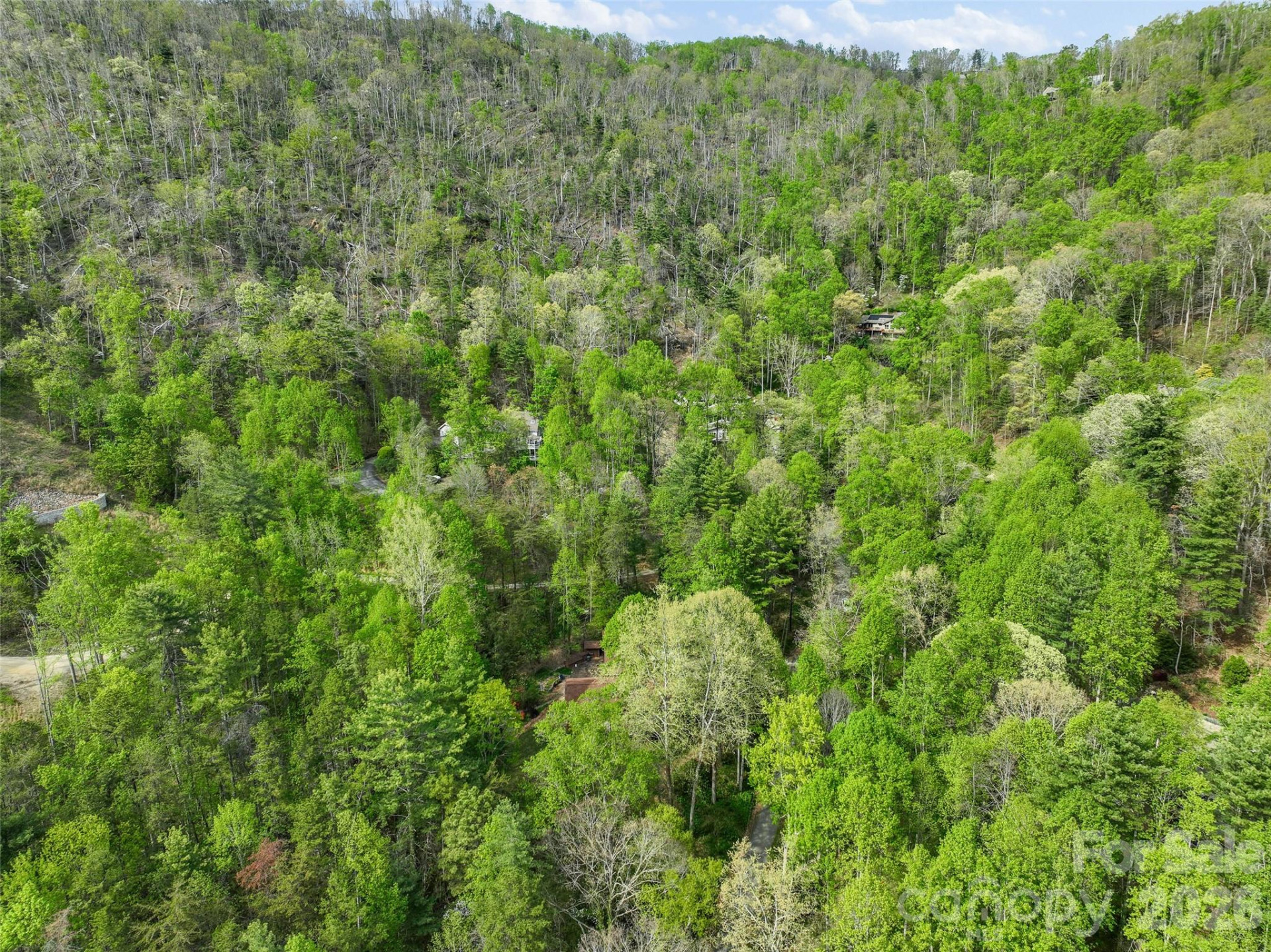 120 Carter Cove Road - Photo 47