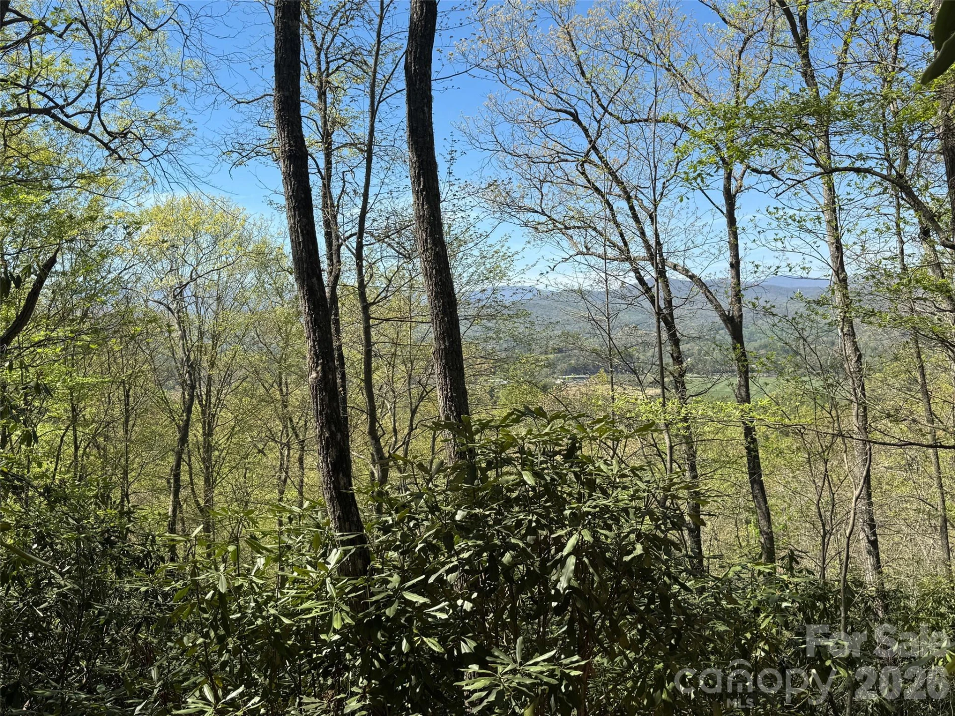 33 Reserve Road #33 - Photo 2