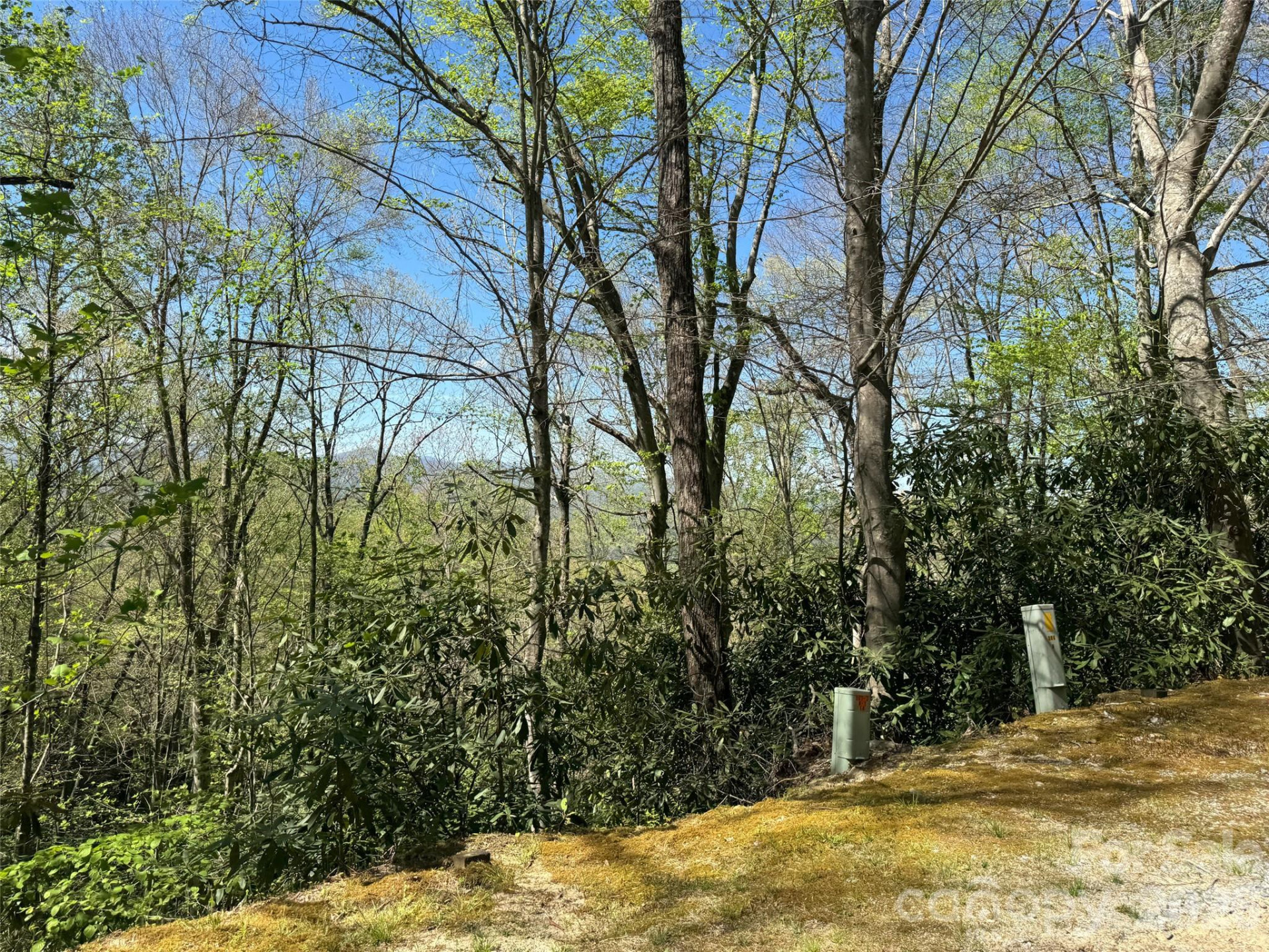 33 Reserve Road #33 - Photo 11