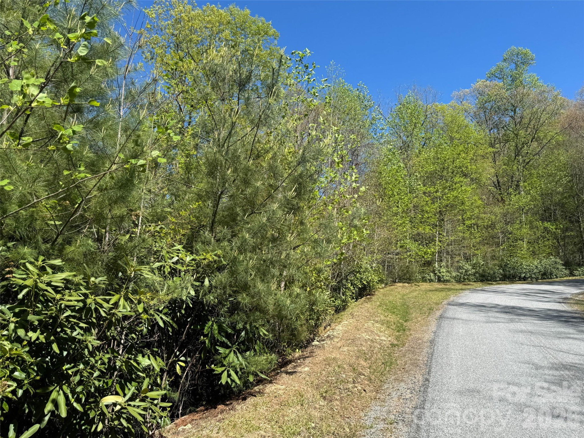 33 Reserve Road #33 - Photo 13