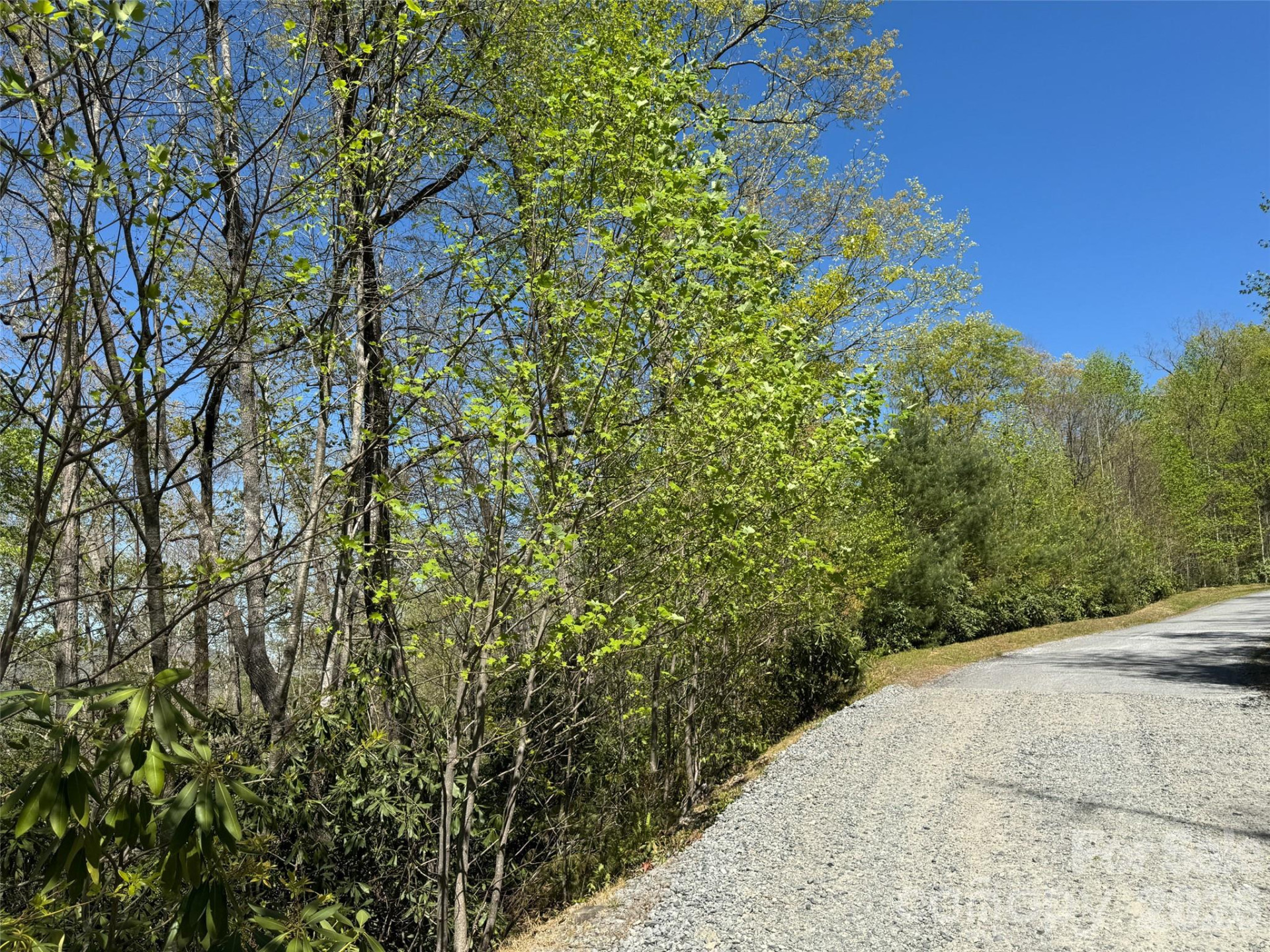 33 Reserve Road #33 - Photo 14