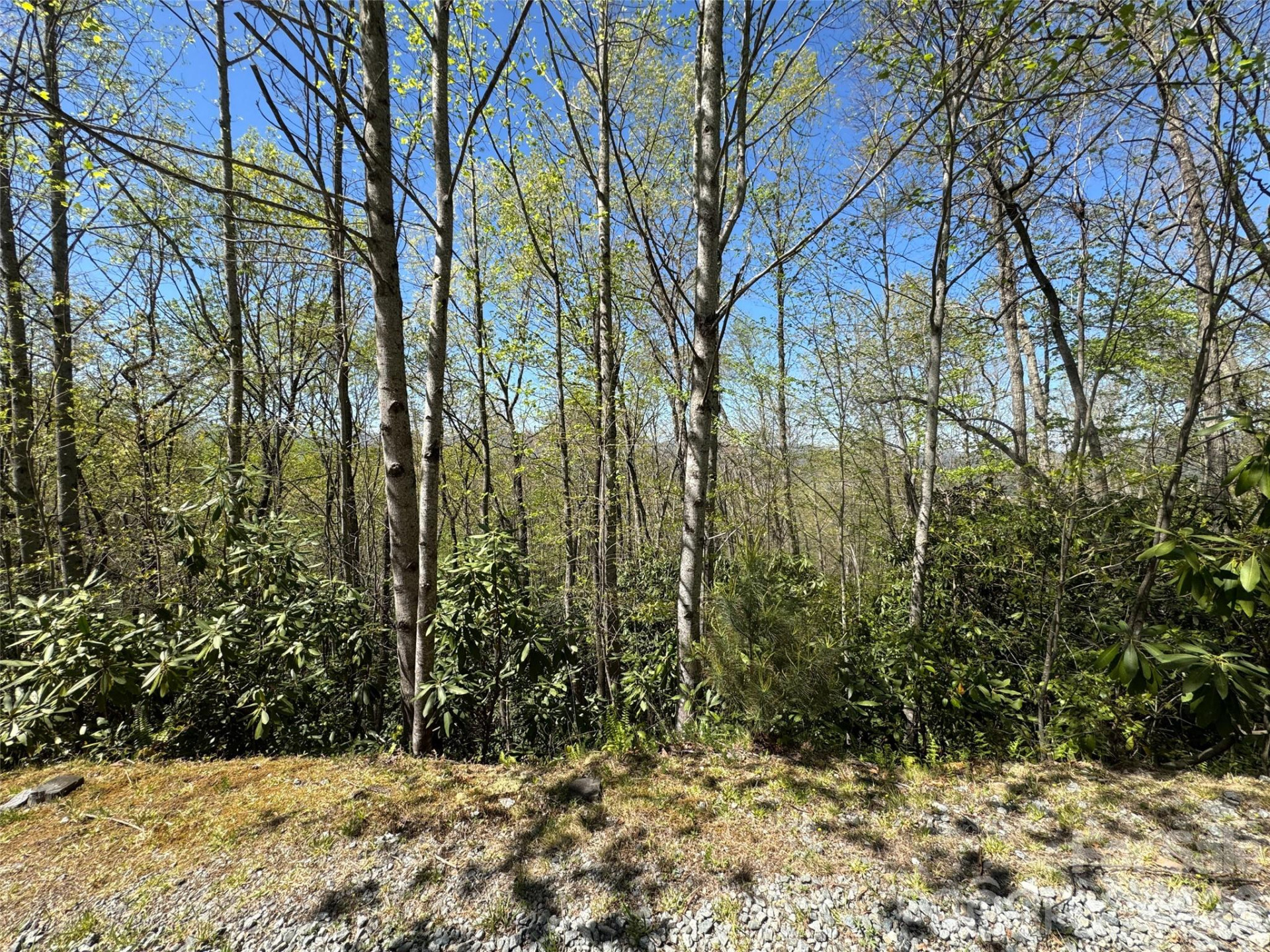 33 Reserve Road #33 - Photo 15