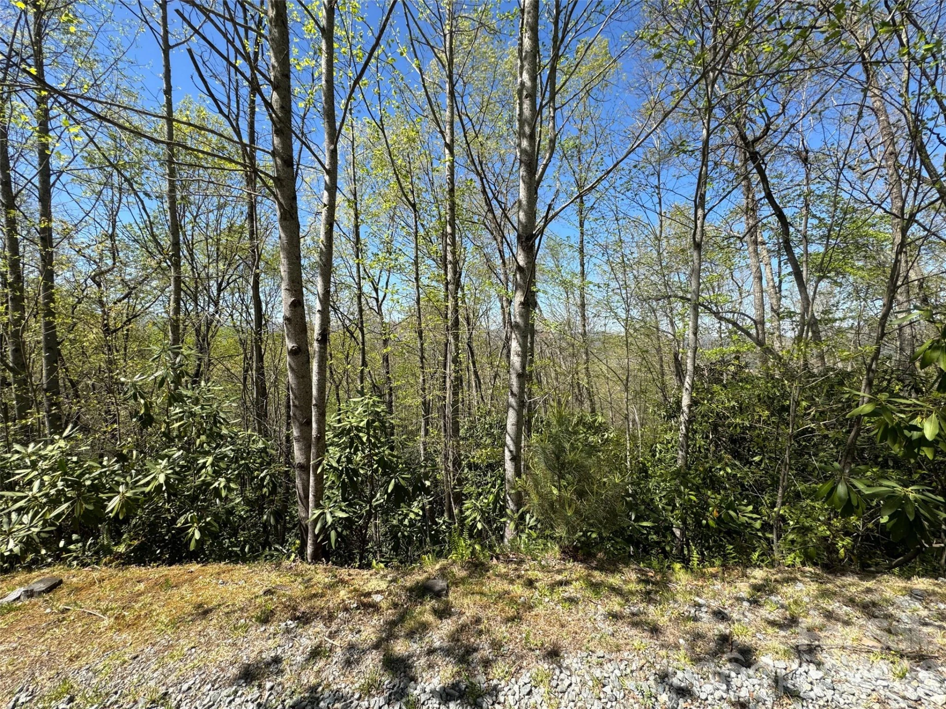 33 Reserve Road #33 - Photo 15