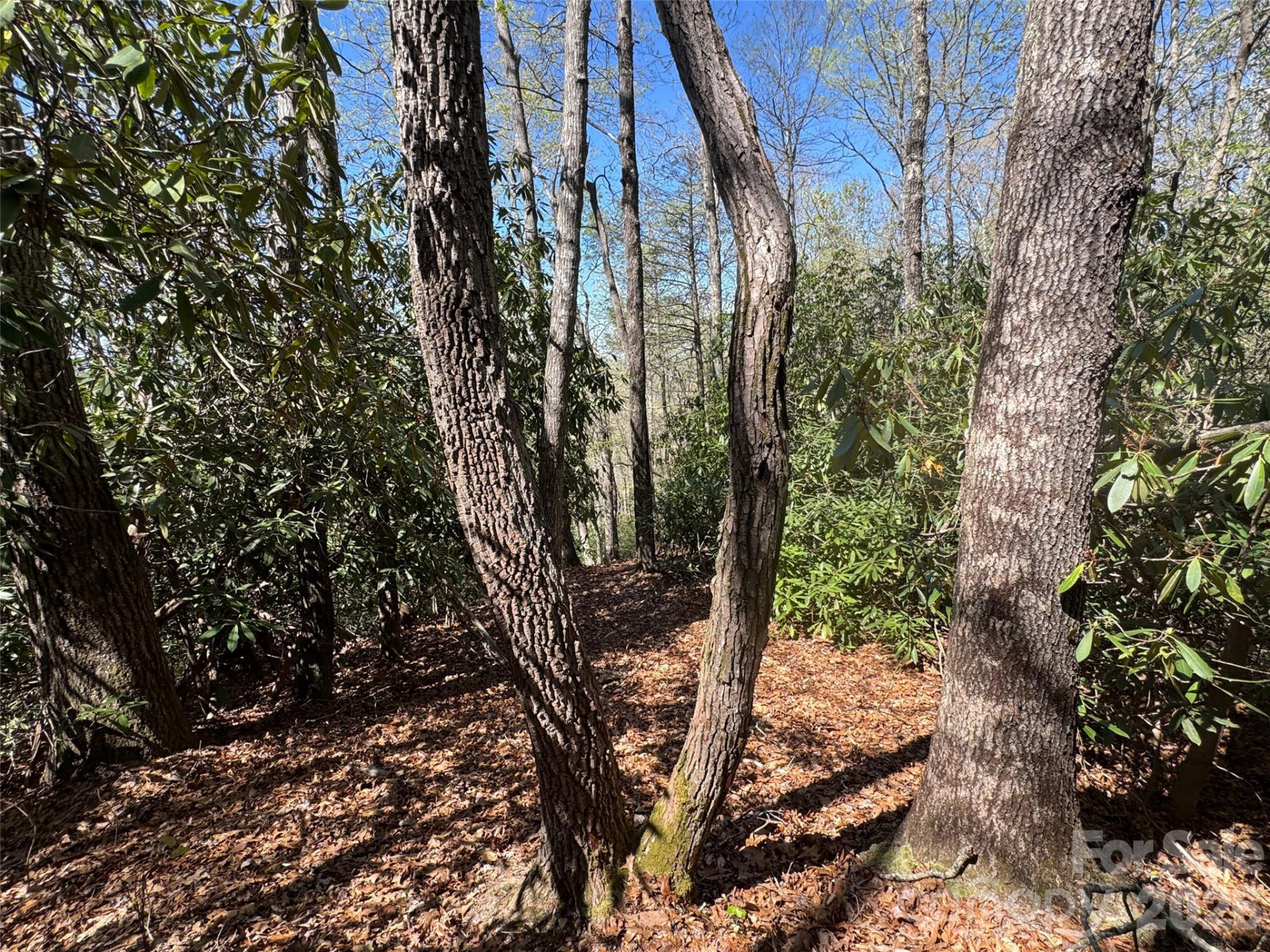 33 Reserve Road #33 - Photo 3