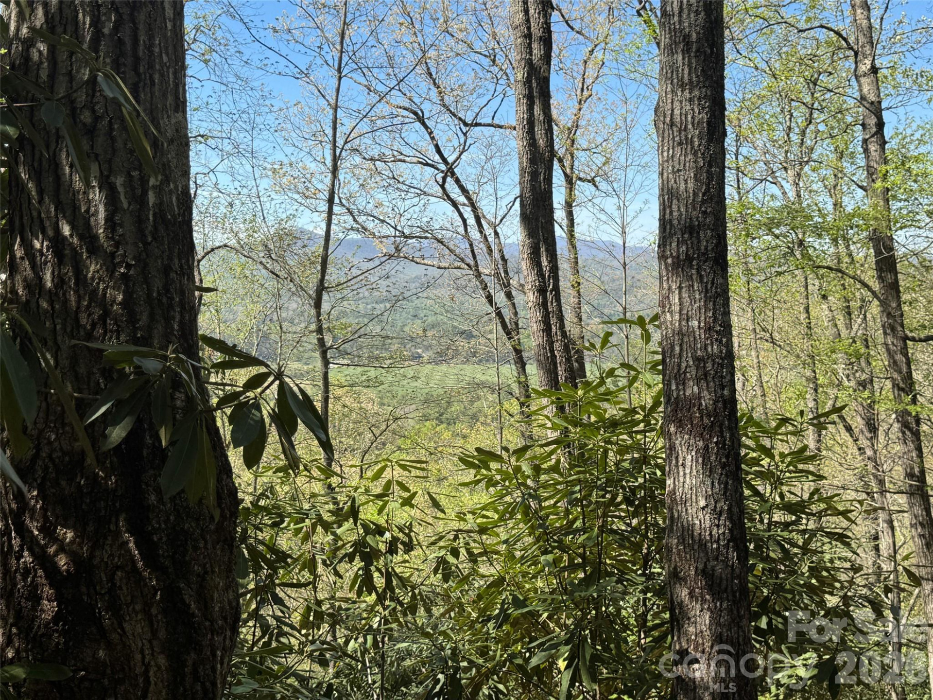 33 Reserve Road #33 - Photo 6