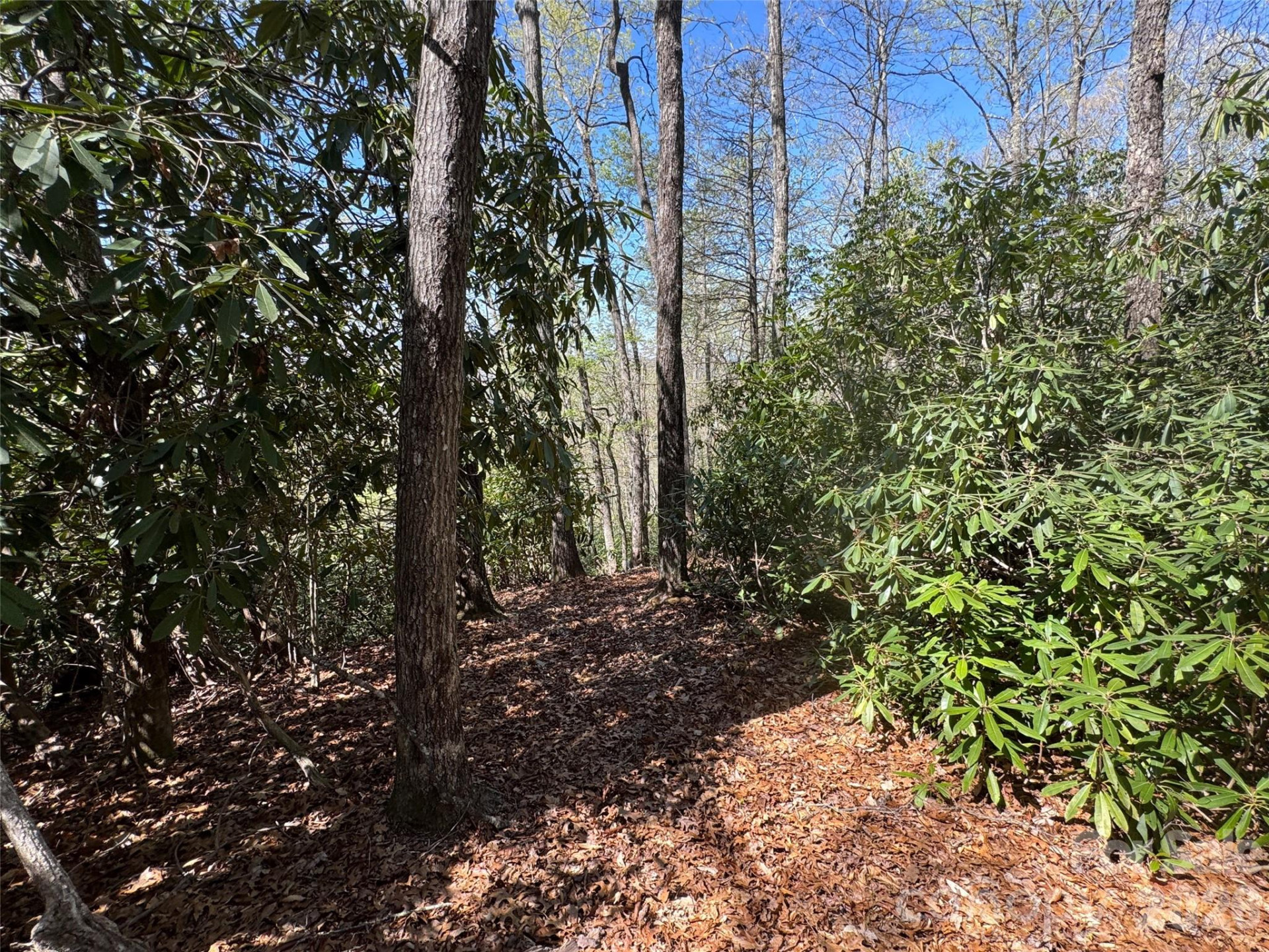 33 Reserve Road #33 - Photo 7