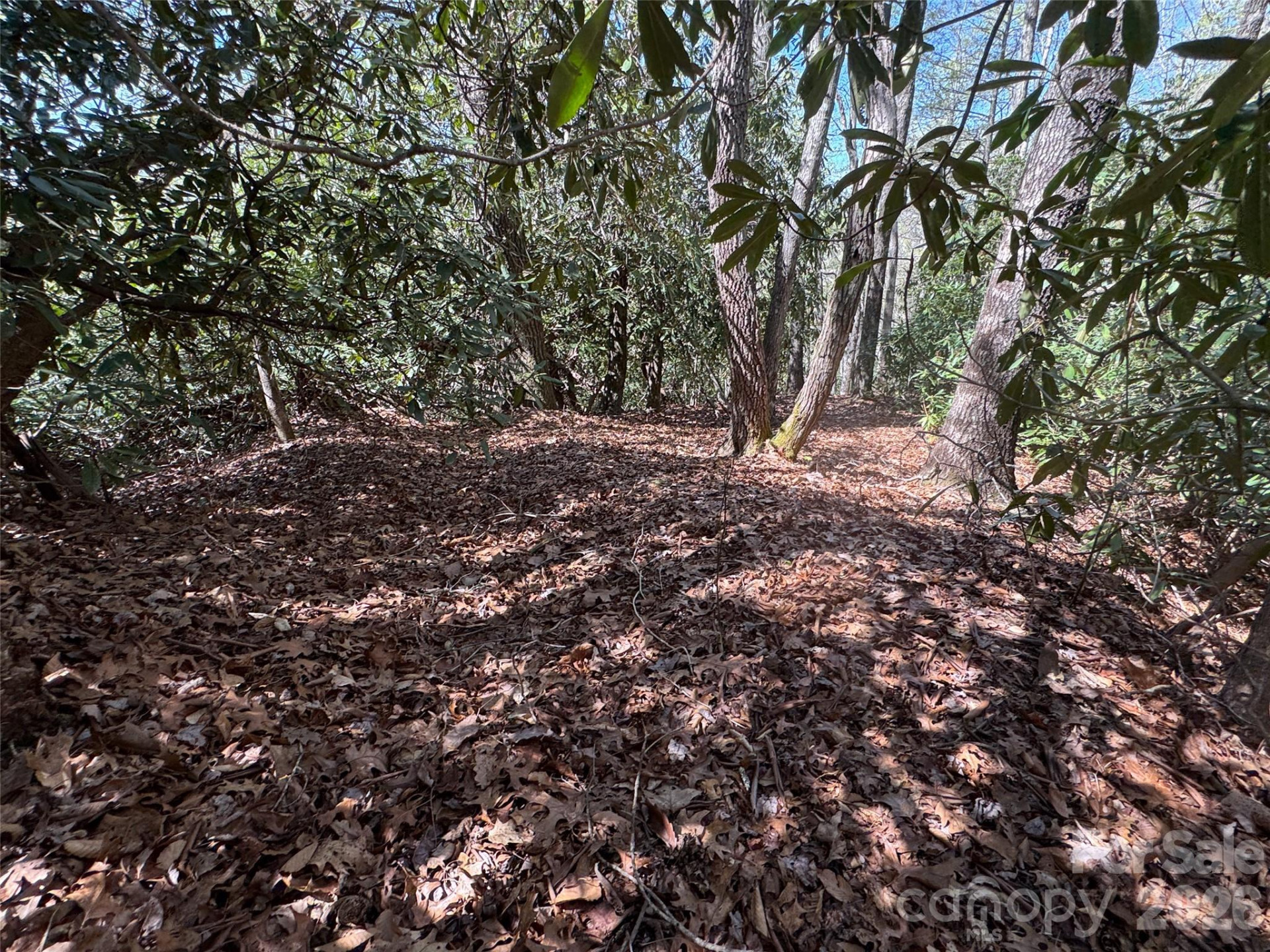 33 Reserve Road #33 - Photo 8