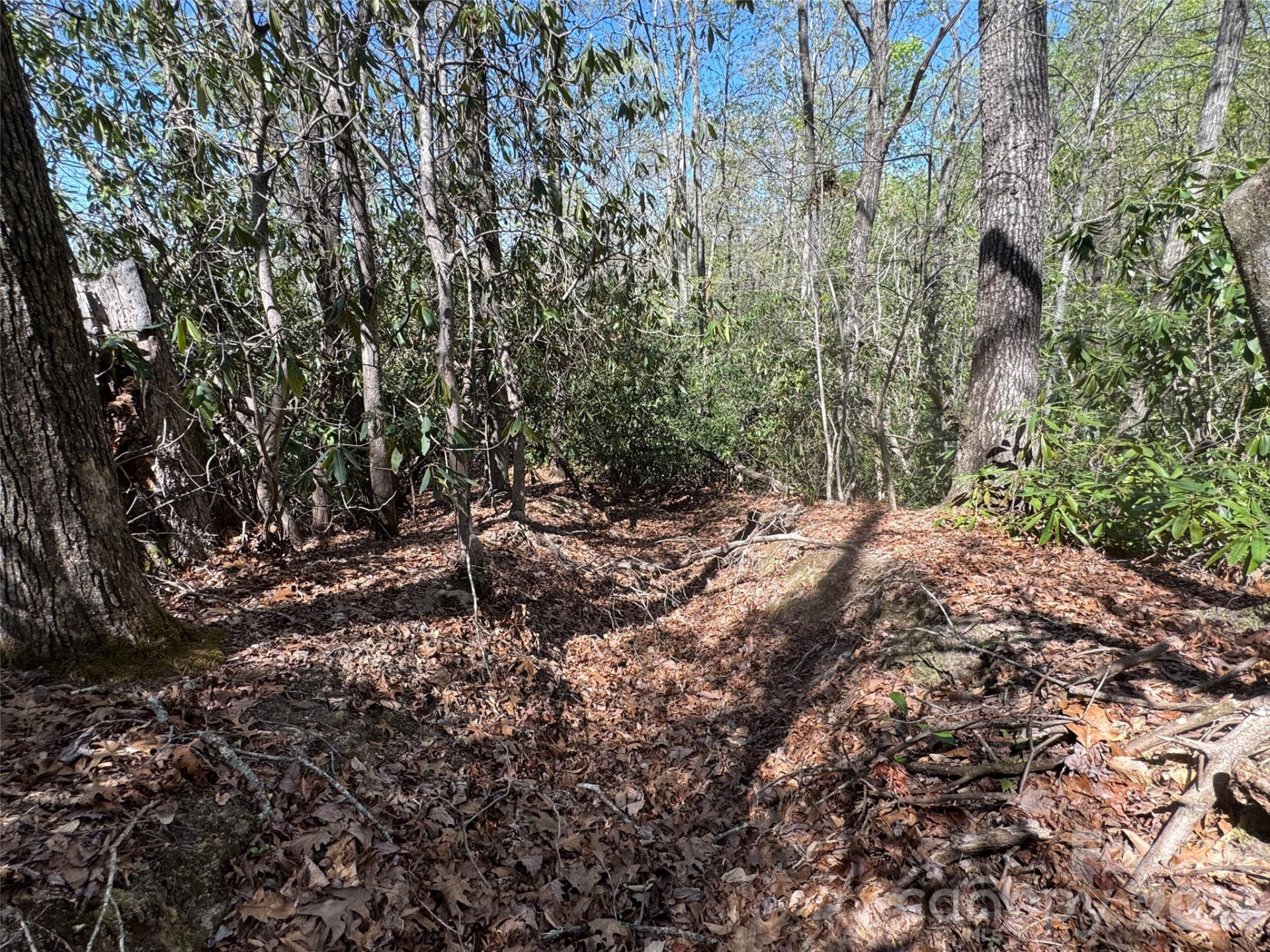 33 Reserve Road #33 - Photo 9