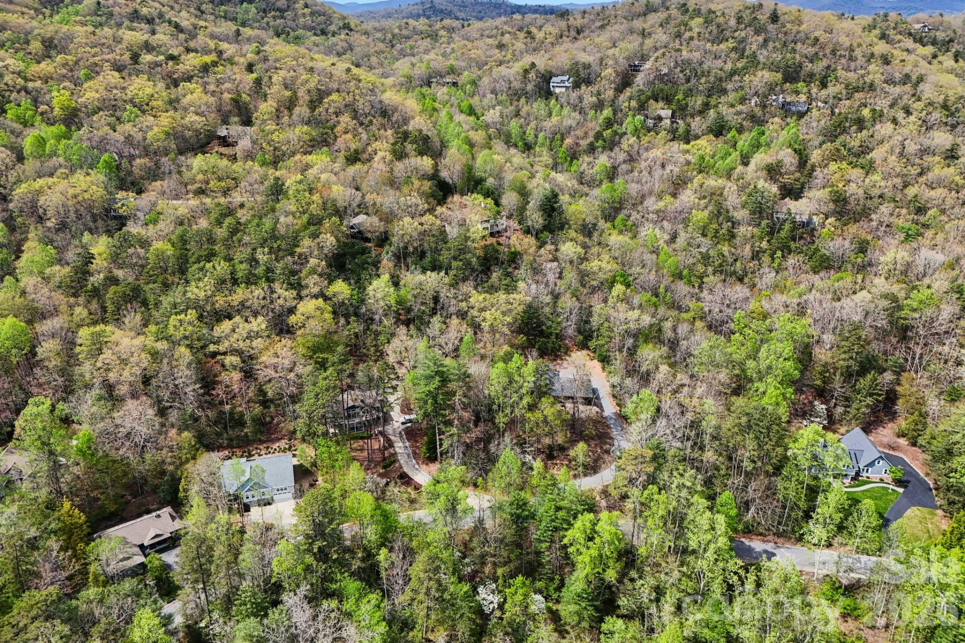 Lot 61 Deerlake Drive - Photo 11