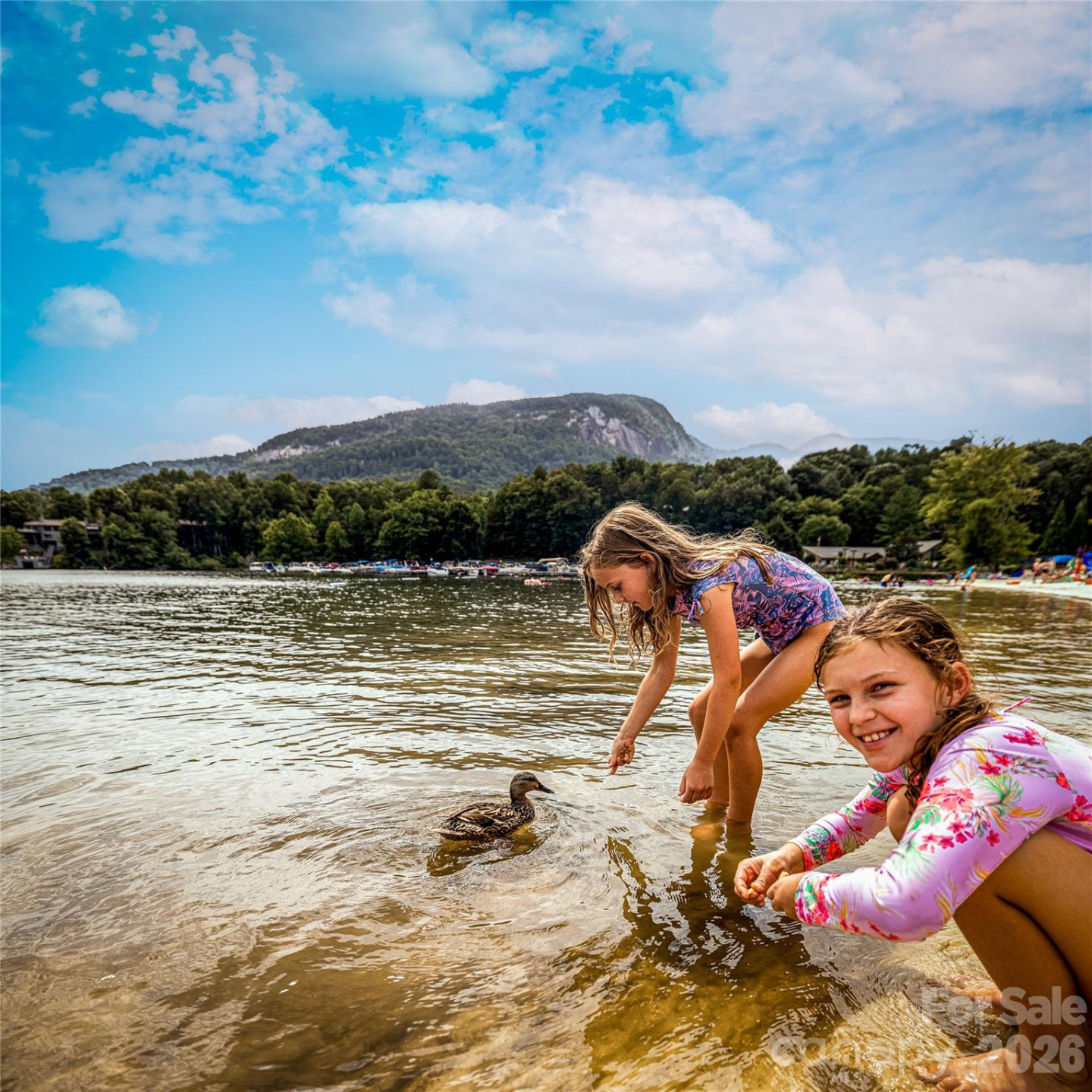 Lot 88 Woodland Circle - Photo 12