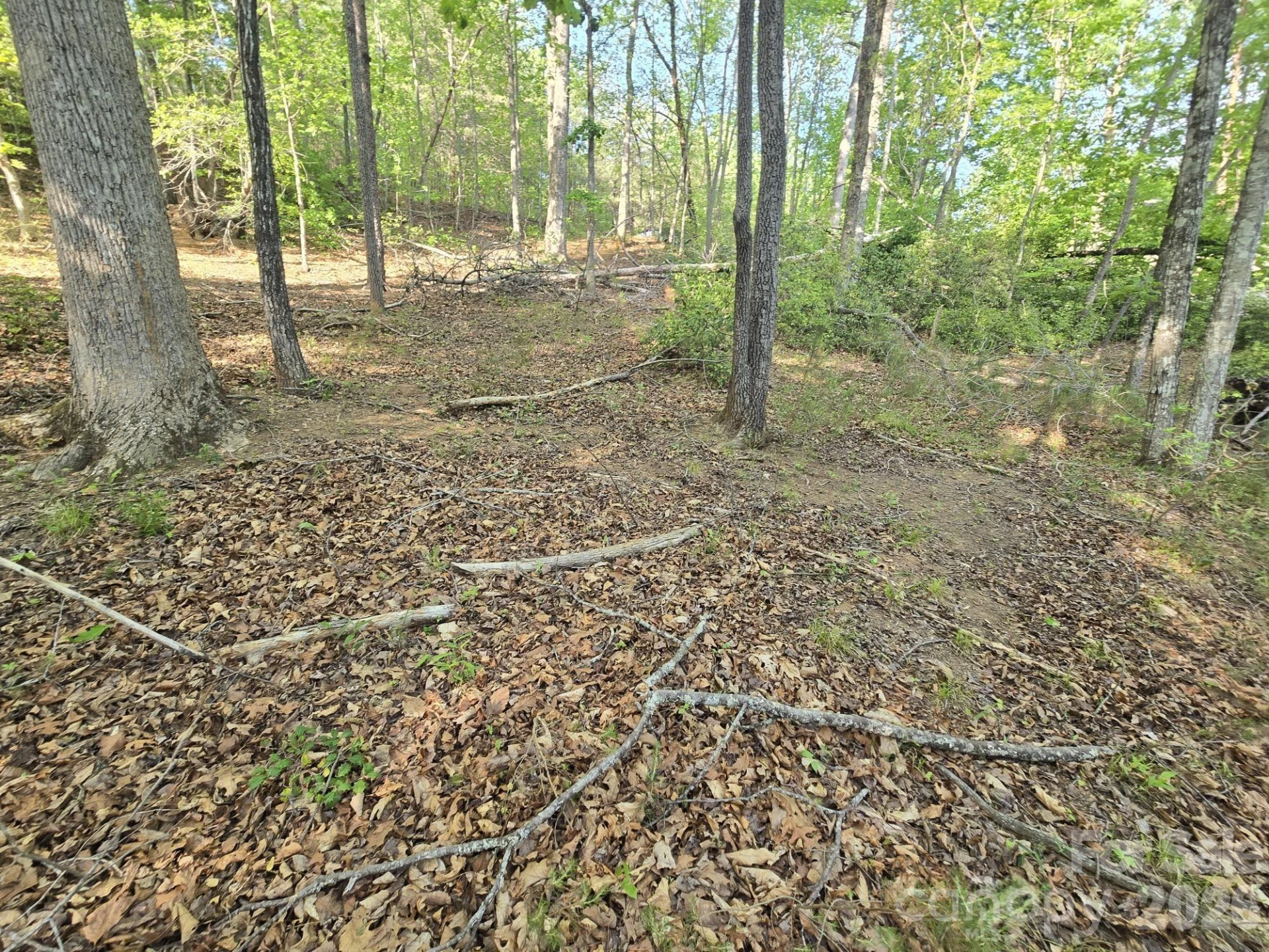 Lot 88 Woodland Circle - Photo 3