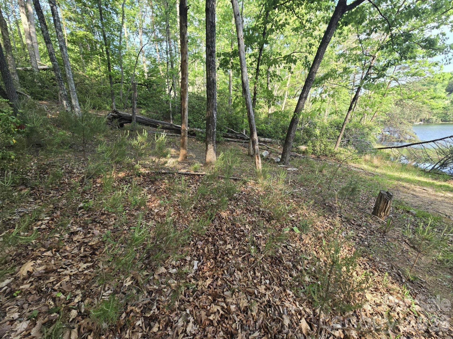 Lot 88 Woodland Circle - Photo 4