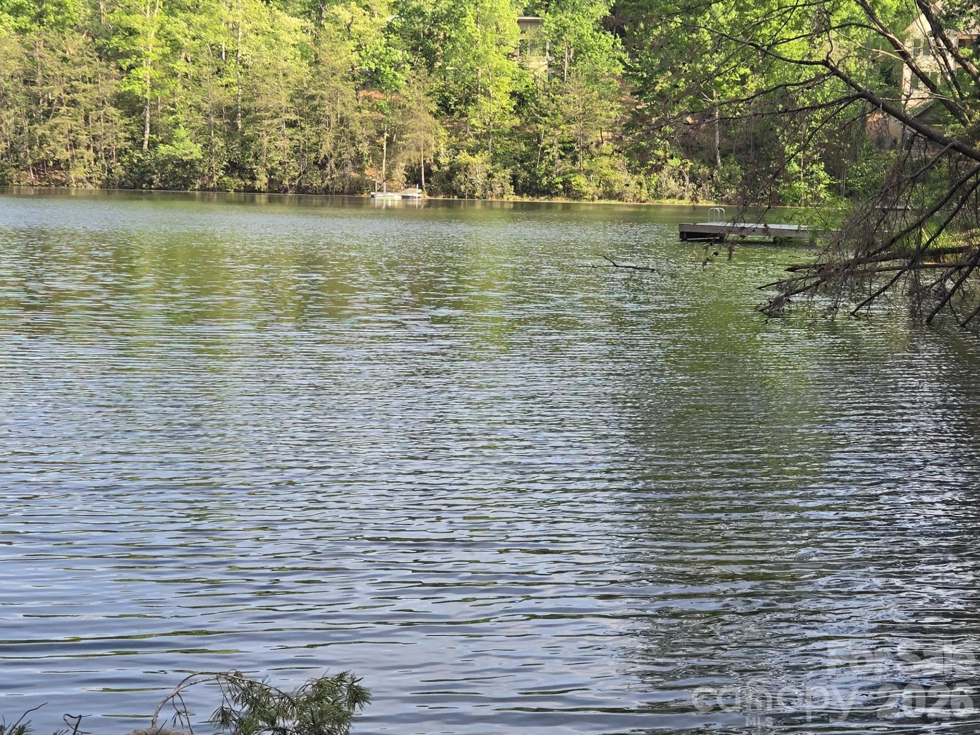 Lot 88 Woodland Circle - Photo 5