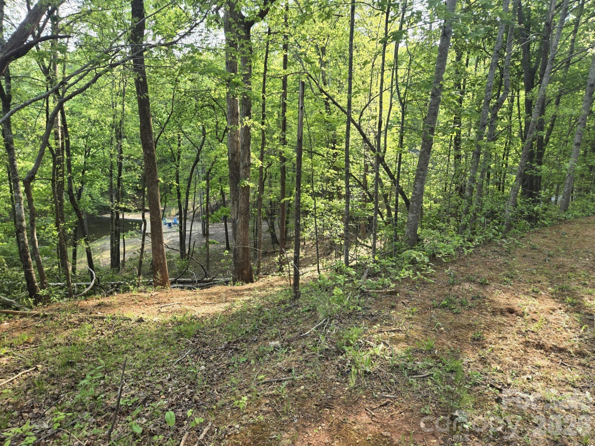 Lot 88 Woodland Circle - Photo 6