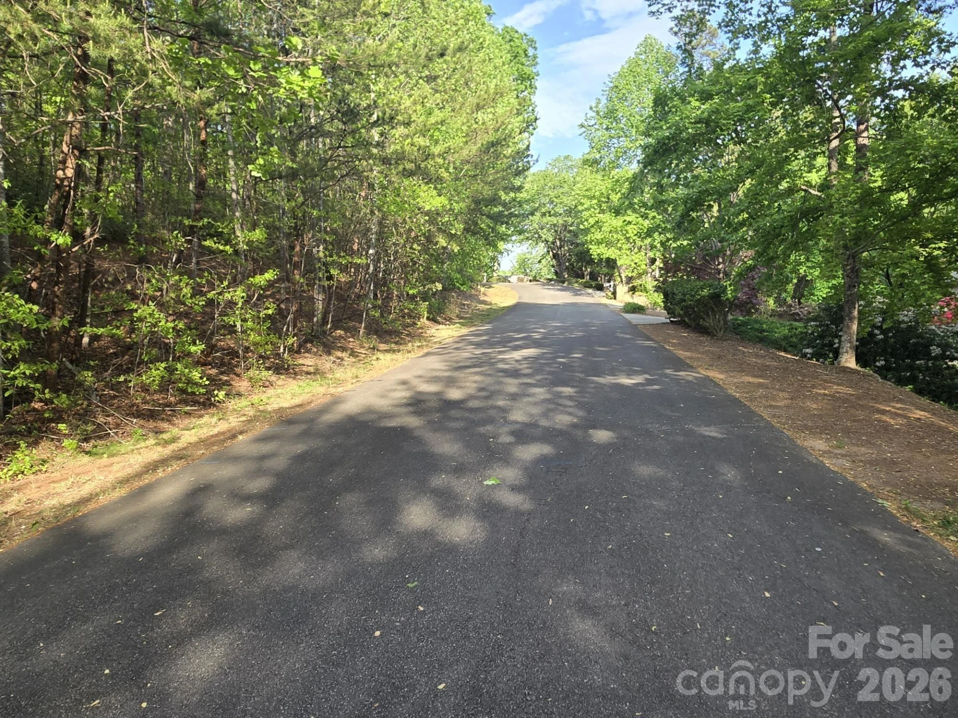 Lot 88 Woodland Circle - Photo 7