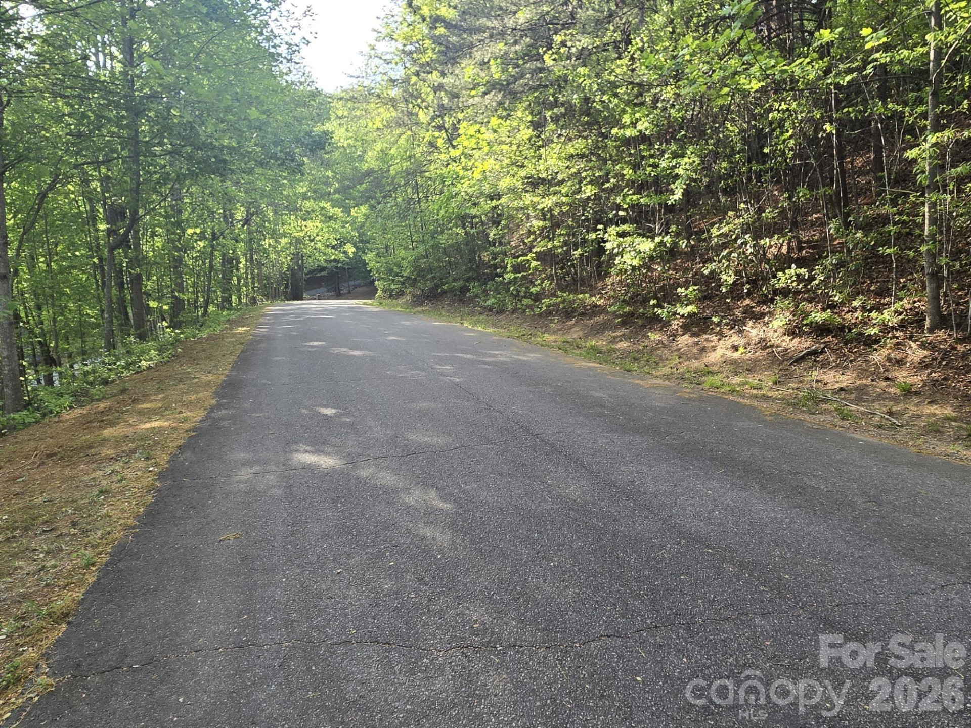 Lot 88 Woodland Circle - Photo 8