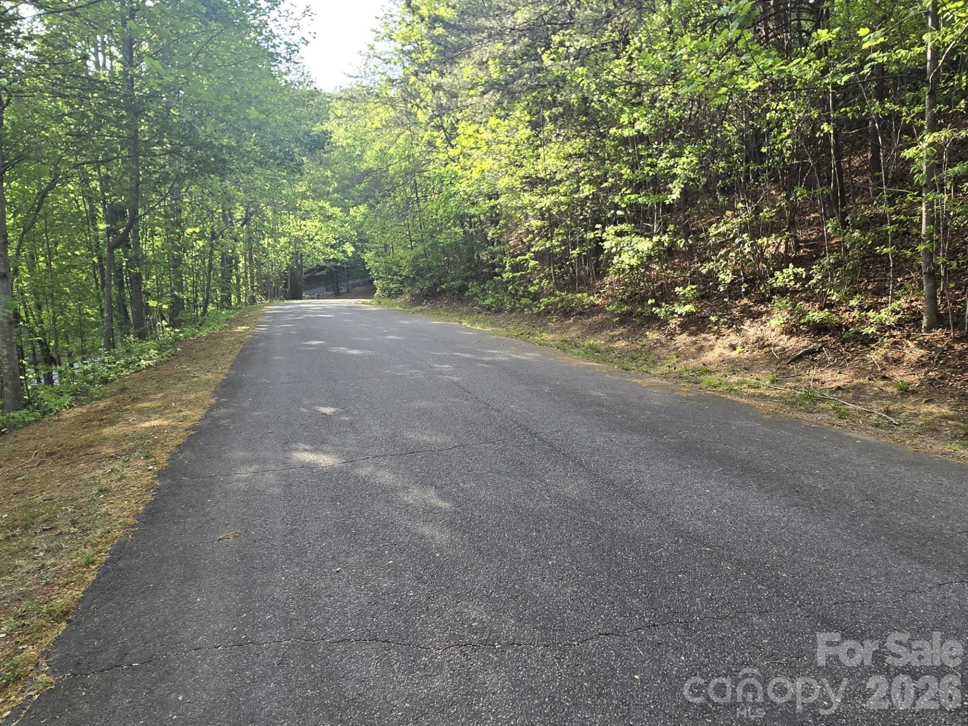 Lot 88 Woodland Circle - Photo 8