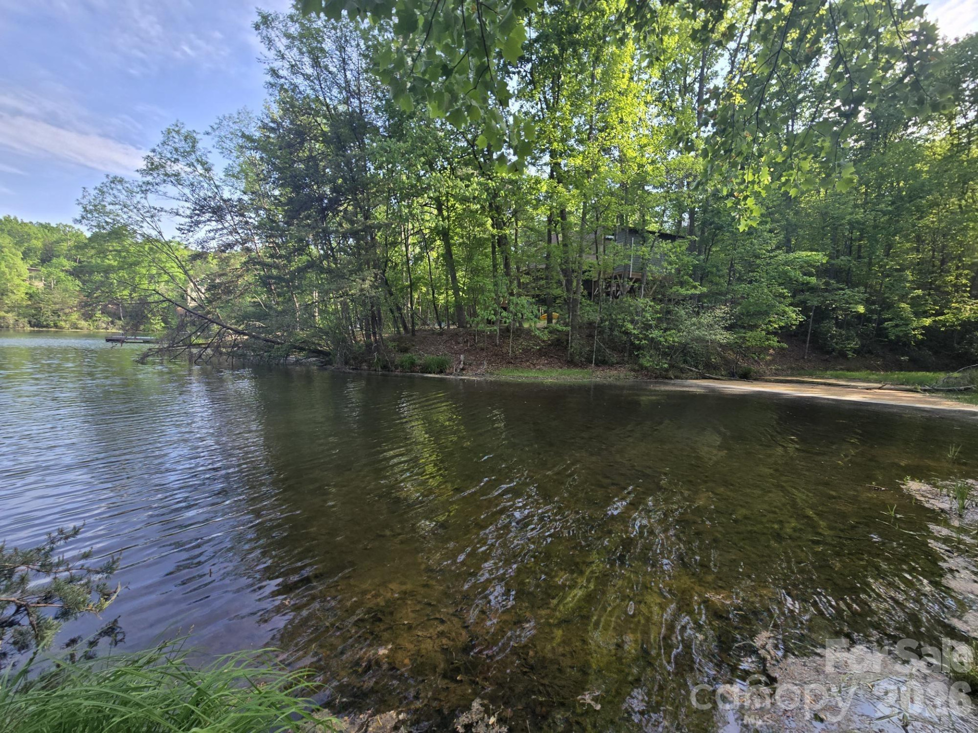 Lot 88 Woodland Circle - Photo 9