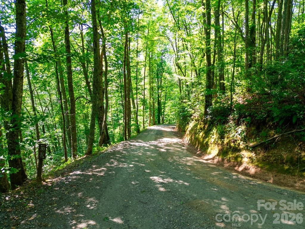 Lot 26 Red Hawk Bluff - Photo 11