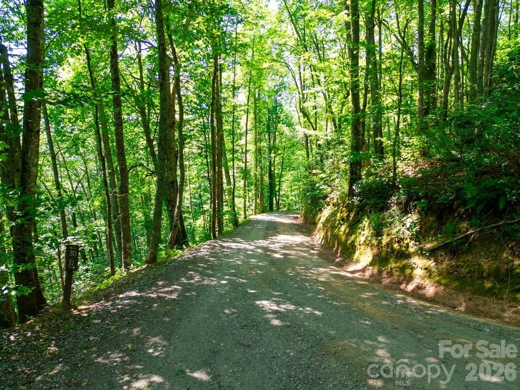 Lot 26 Red Hawk Bluff - Photo 11