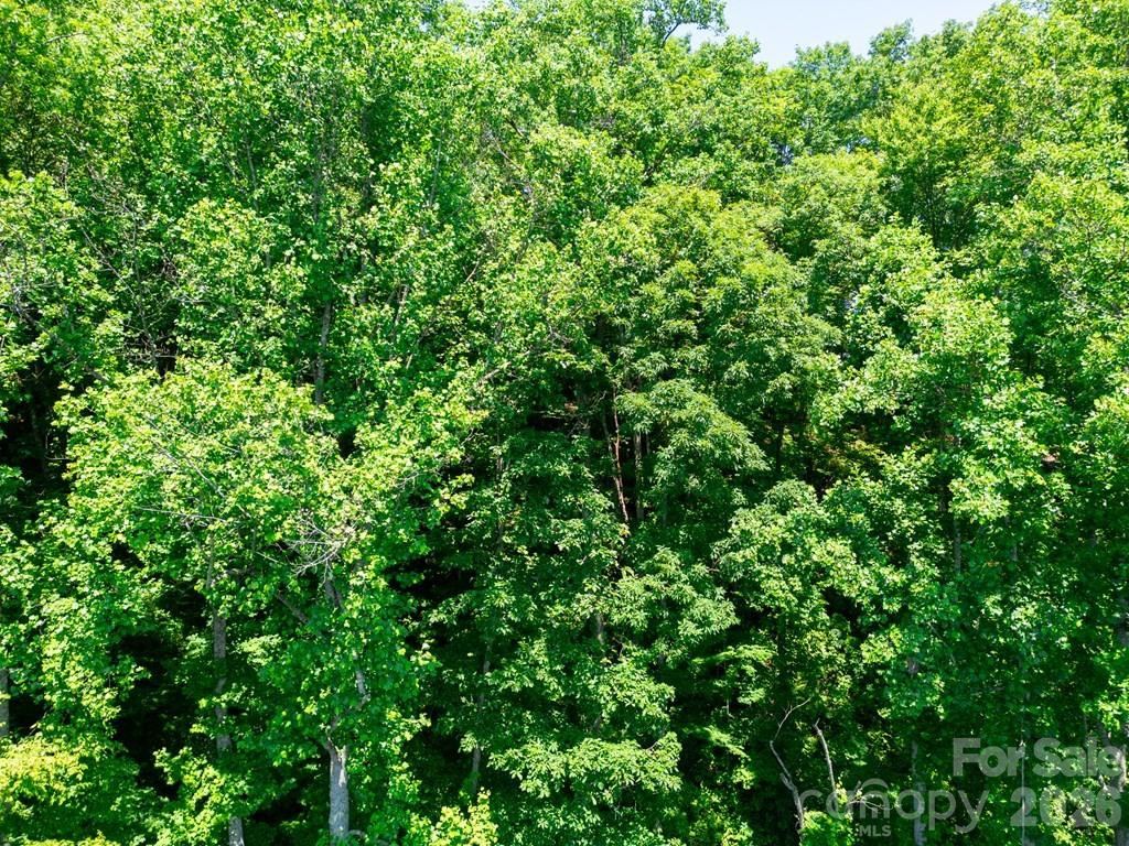 Lot 26 Red Hawk Bluff - Photo 12