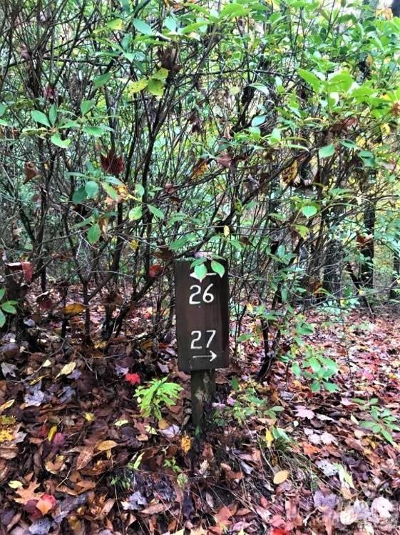 Lot 26 Red Hawk Bluff - Photo 13