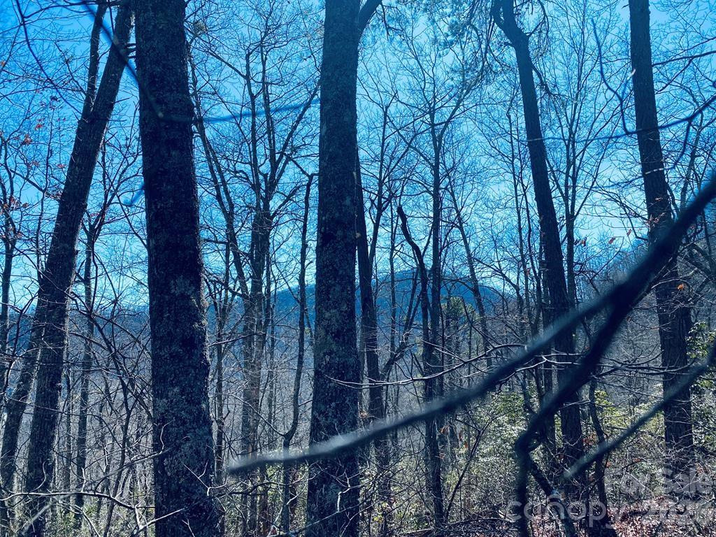 Lot 26 Red Hawk Bluff - Photo 14