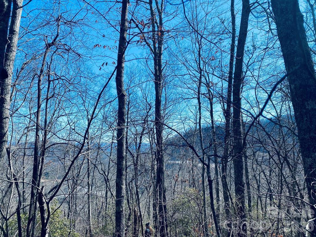 Lot 26 Red Hawk Bluff - Photo 15