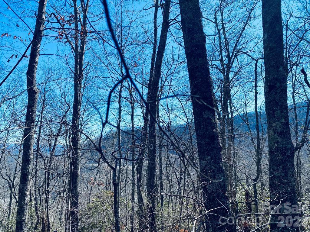 Lot 26 Red Hawk Bluff - Photo 16