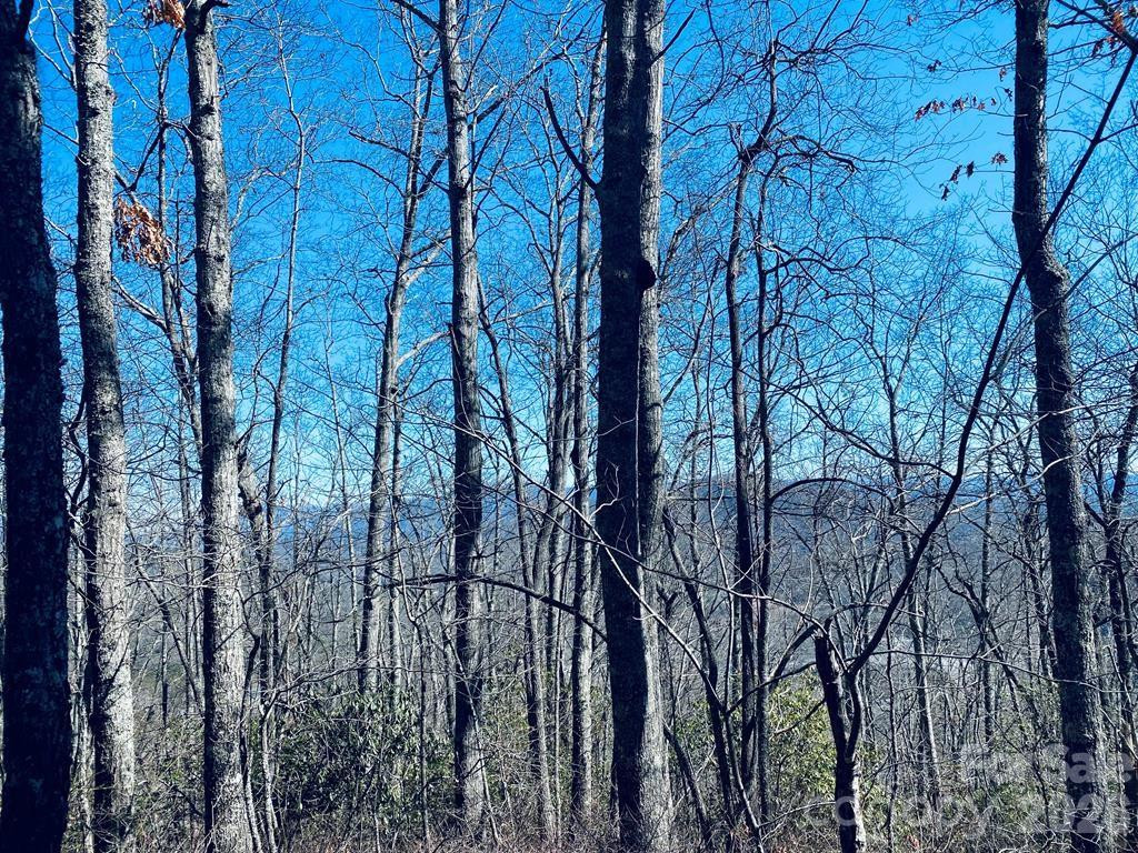 Lot 26 Red Hawk Bluff - Photo 17