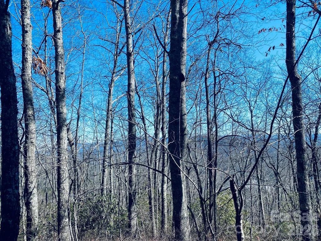 Lot 26 Red Hawk Bluff - Photo 17