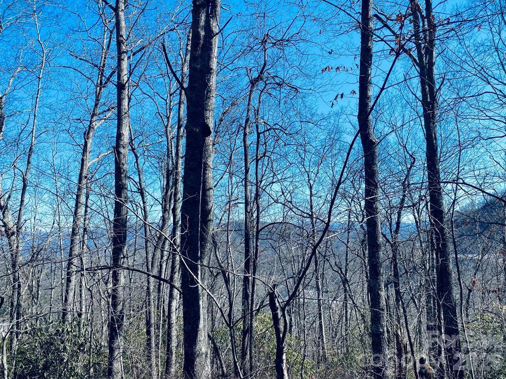 Lot 26 Red Hawk Bluff - Photo 18