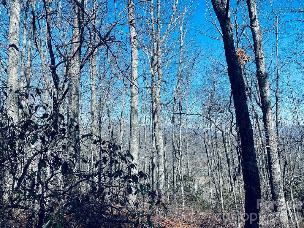 Lot 26 Red Hawk Bluff - Photo 19