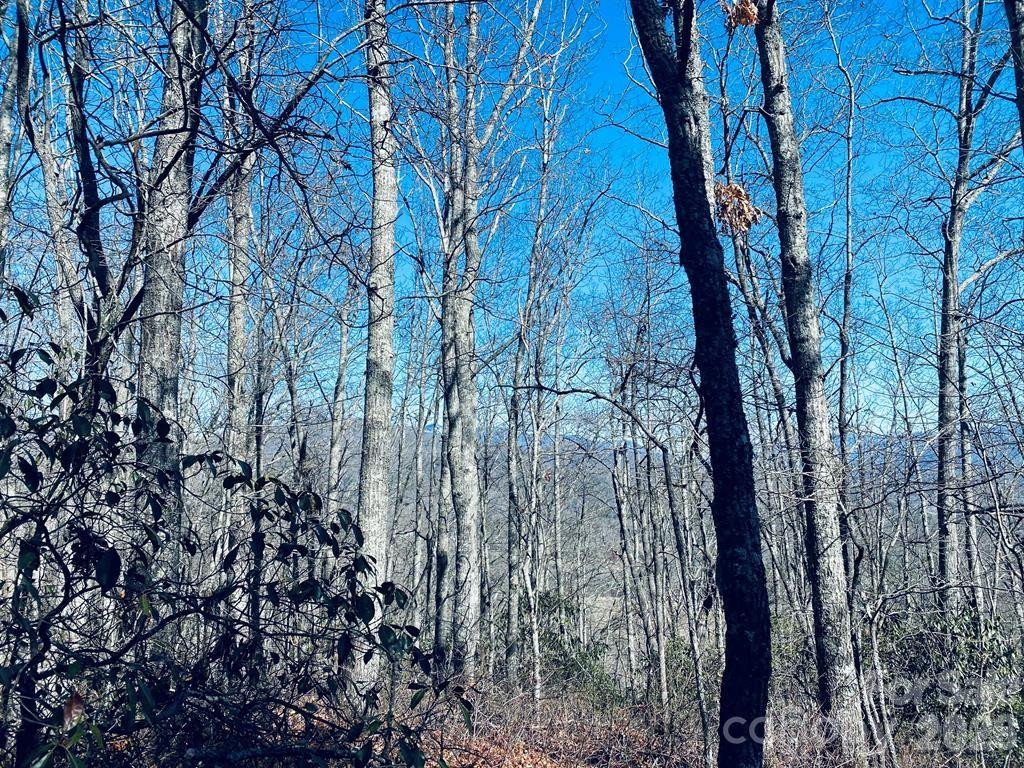 Lot 26 Red Hawk Bluff - Photo 20