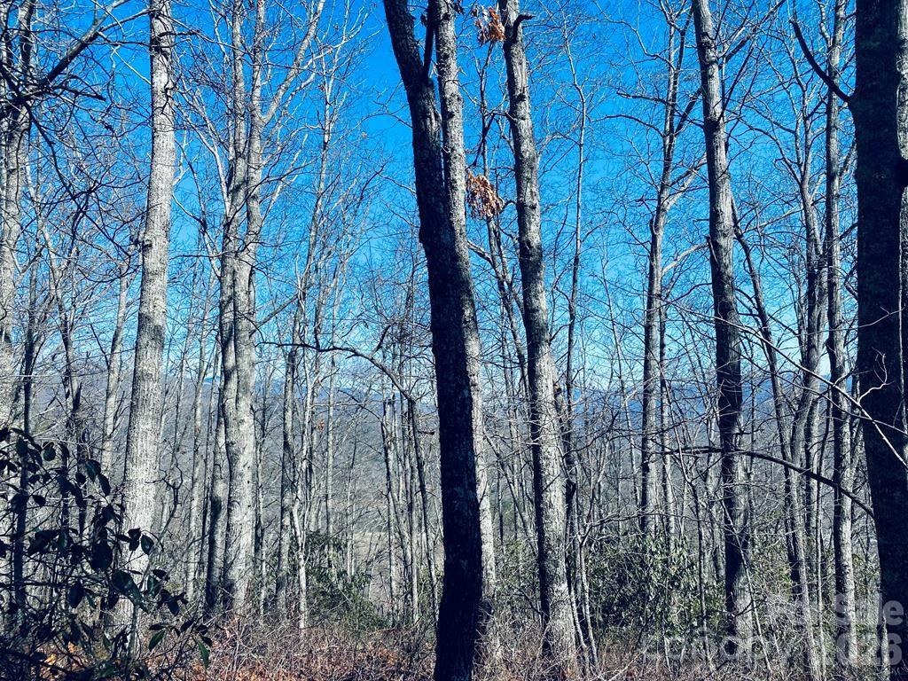 Lot 26 Red Hawk Bluff - Photo 21