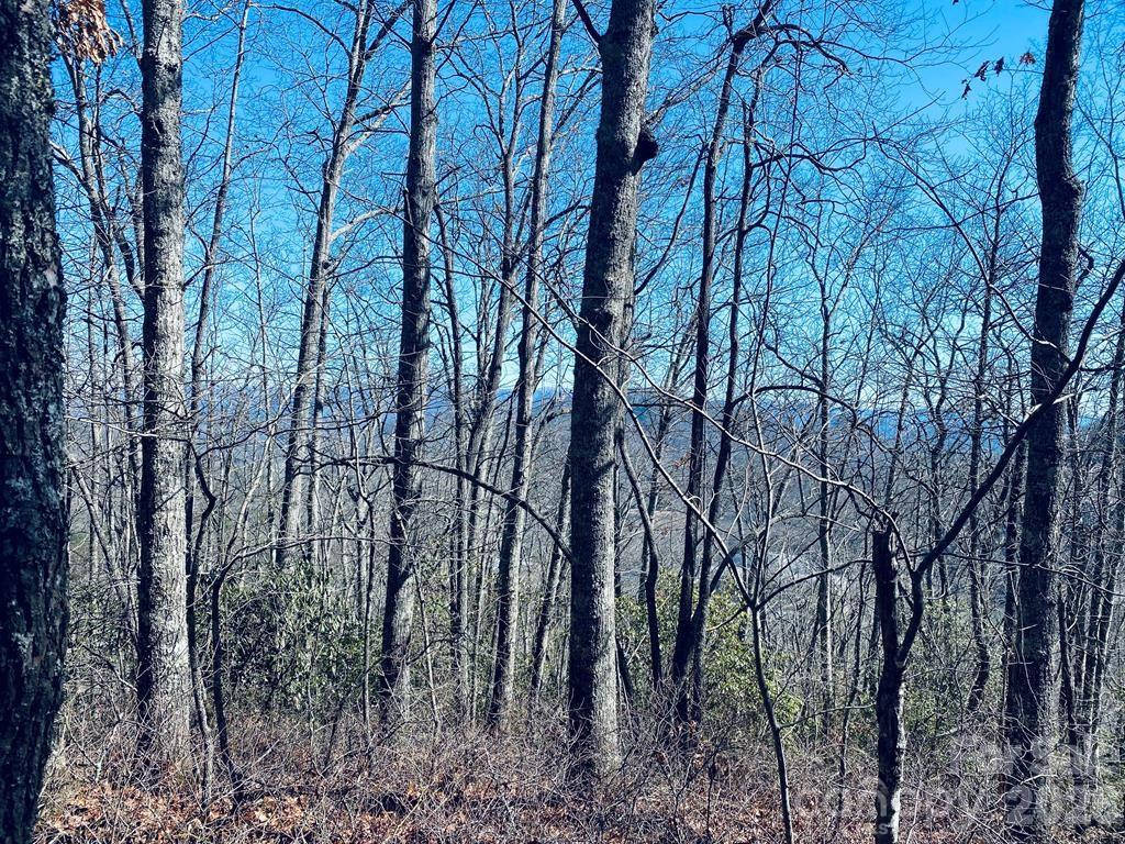 Lot 26 Red Hawk Bluff - Photo 22