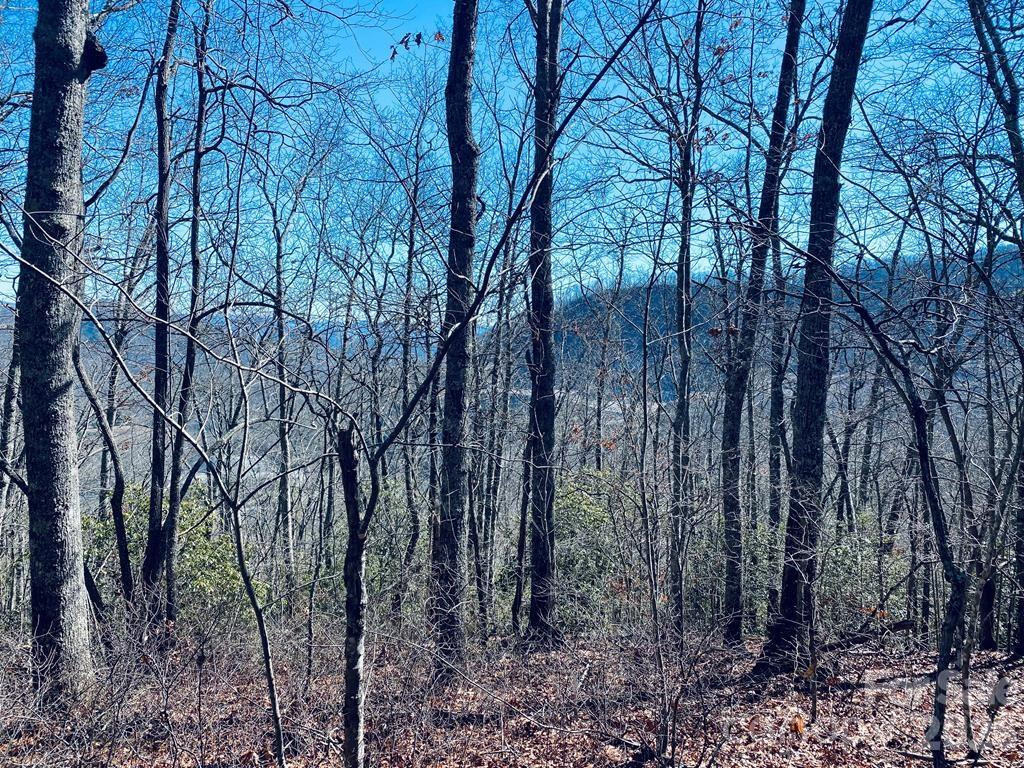 Lot 26 Red Hawk Bluff - Photo 23