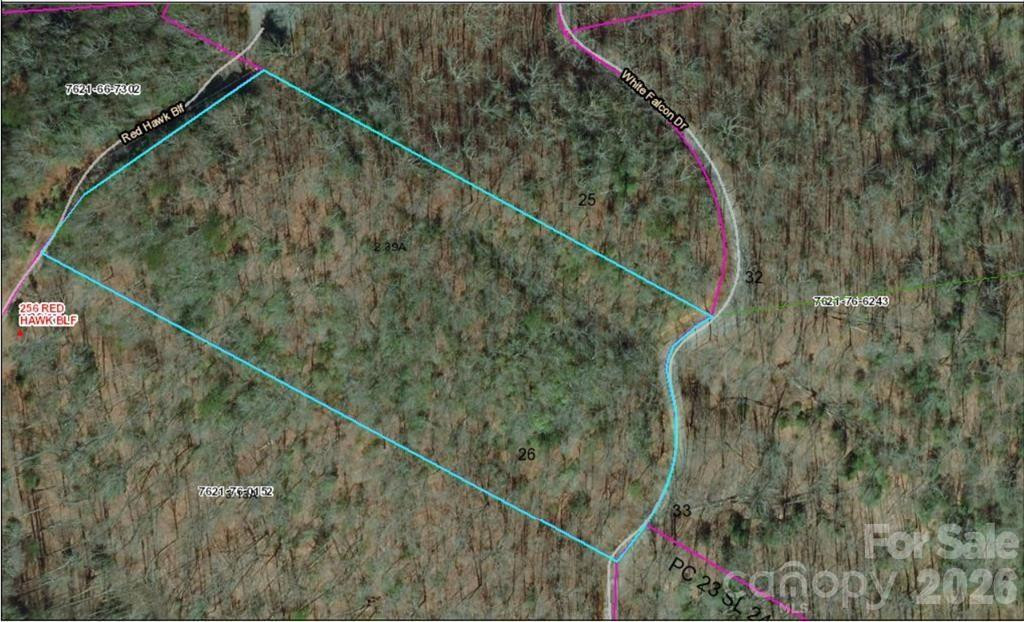 Lot 26 Red Hawk Bluff - Photo 24