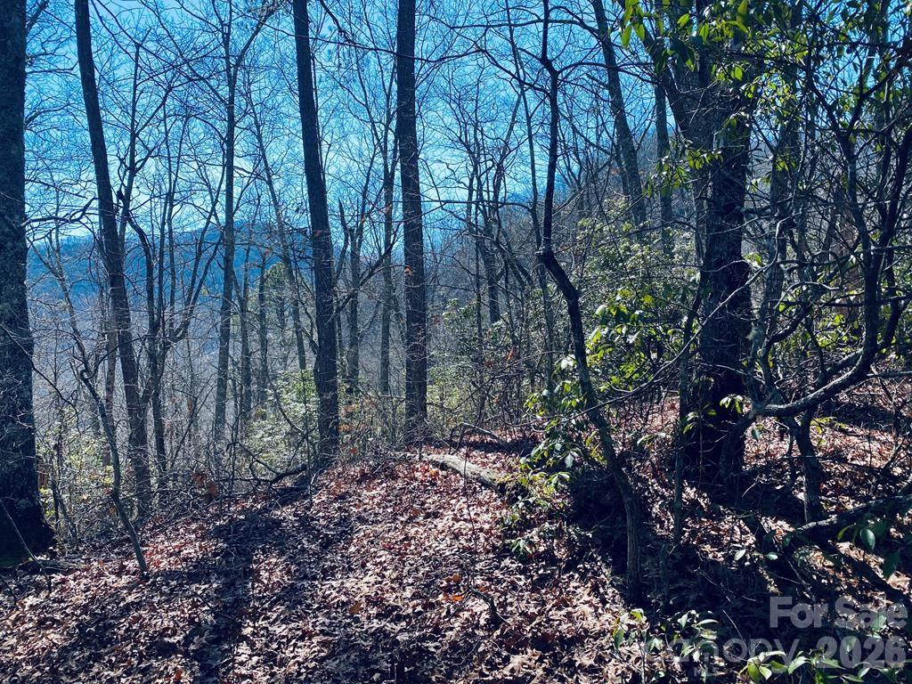 Lot 26 Red Hawk Bluff - Photo 5