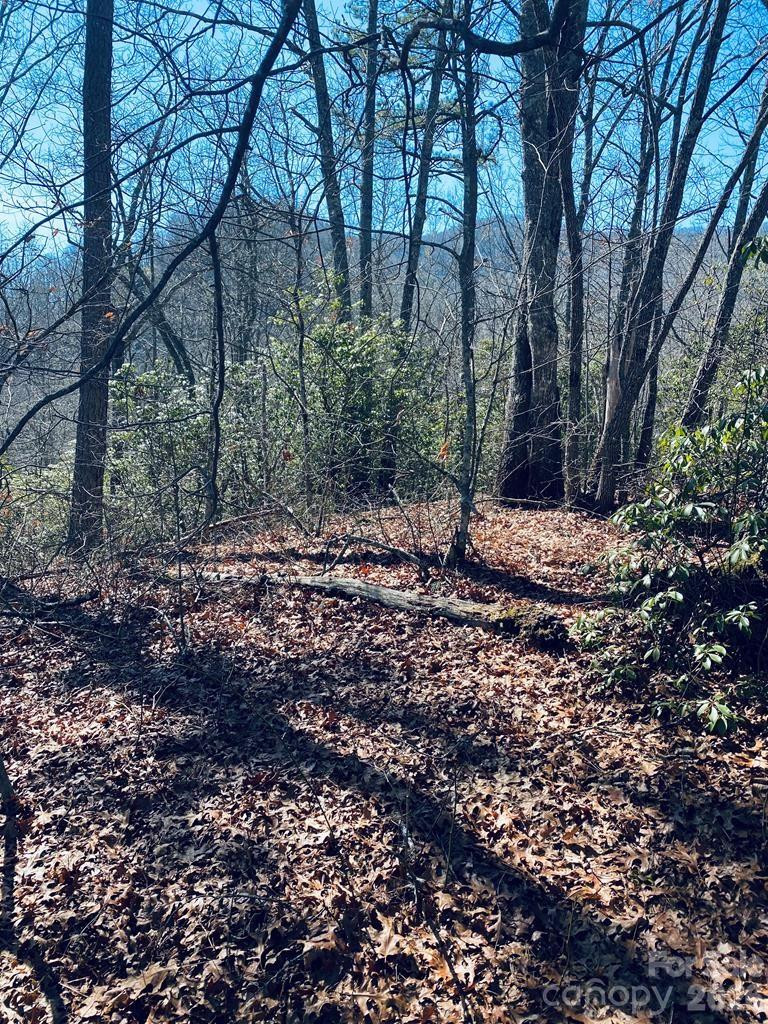 Lot 26 Red Hawk Bluff - Photo 6