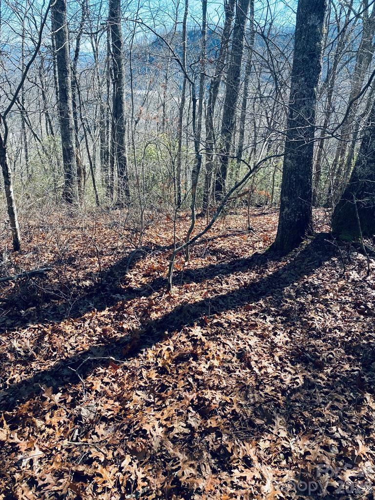 Lot 26 Red Hawk Bluff - Photo 7