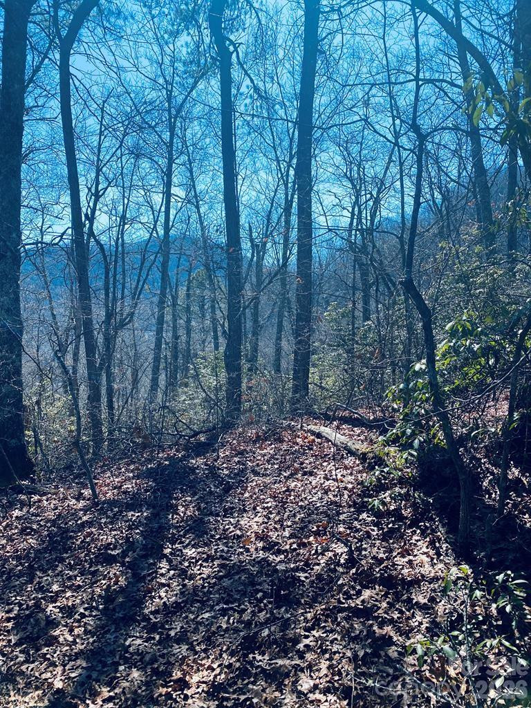 Lot 26 Red Hawk Bluff - Photo 8