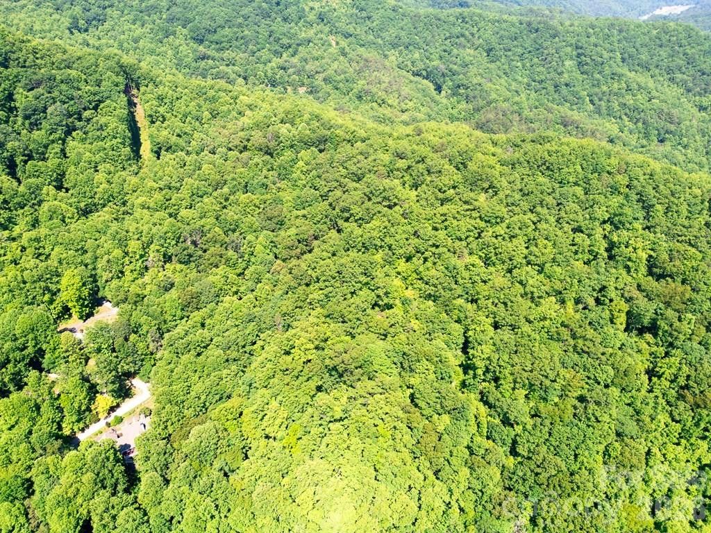 Lot 26 Red Hawk Bluff - Photo 9